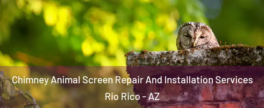  Chimney Animal Screen Repair And Installation Services Rio Rico - AZ