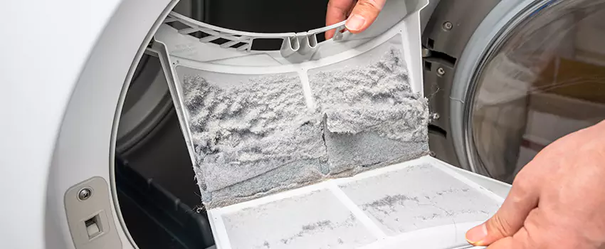 Best Dryer Lint Removal Company in Rio Rico, Arizona