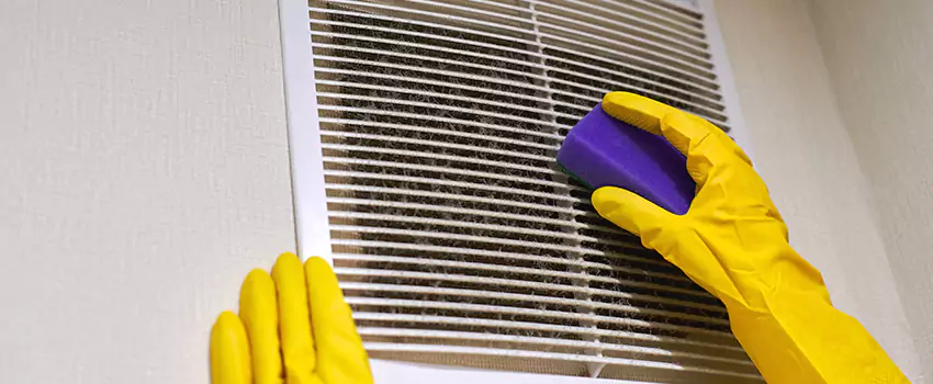 Vent Cleaning Company in Rio Rico, AZ