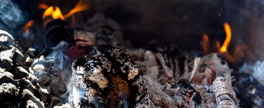 Creosote Removal Experts in Rio Rico, AZ